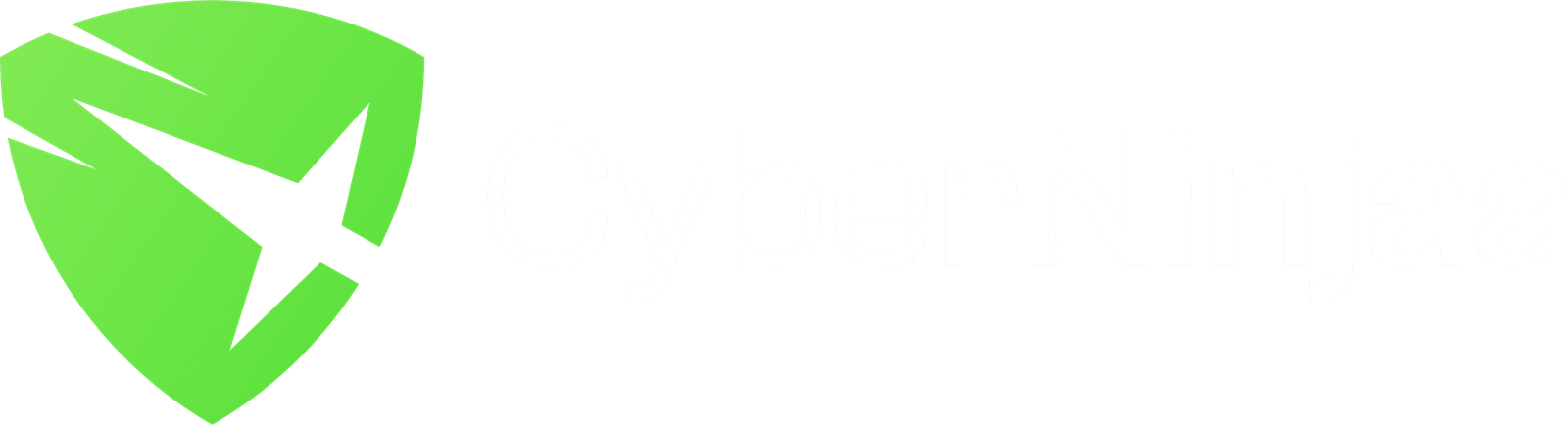 Cyber Ninjaa